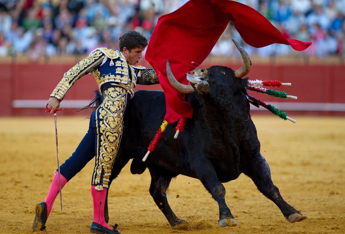 Bullfightning in spain